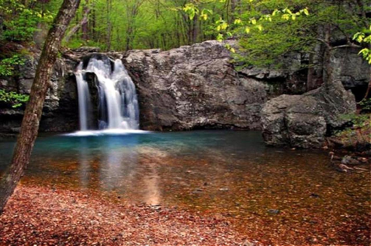 Secluded Home With Mini Waterfall And A Creek In هوت سبرنغز المظهر الخارجي الصورة
